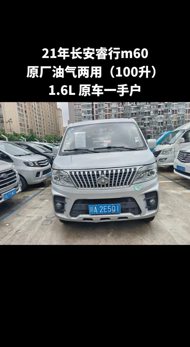 油气两用轿车有几款