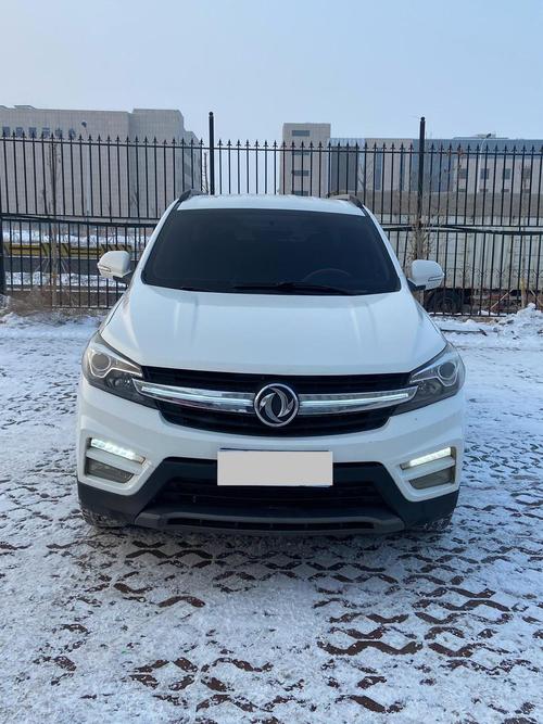 油气双燃料汽车大全，油气两用双燃料汽车？