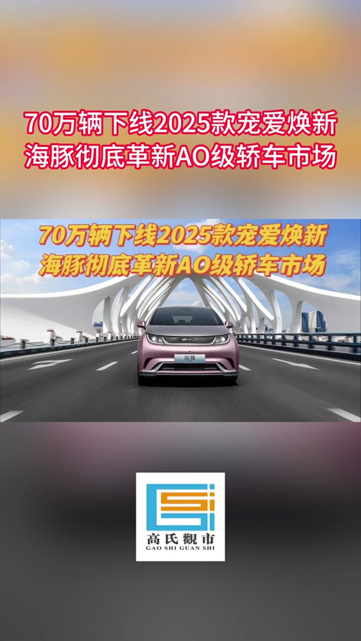海豚什么时候上市的