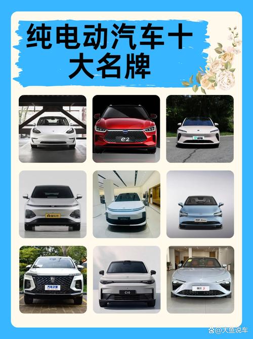 电动汽车哪个牌子的好