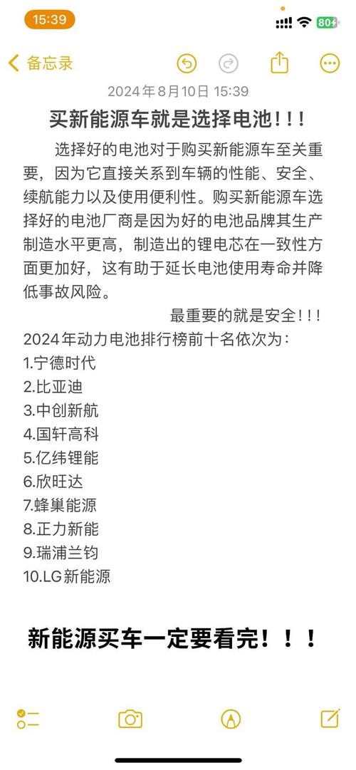 新能源汽车电池前十名品牌