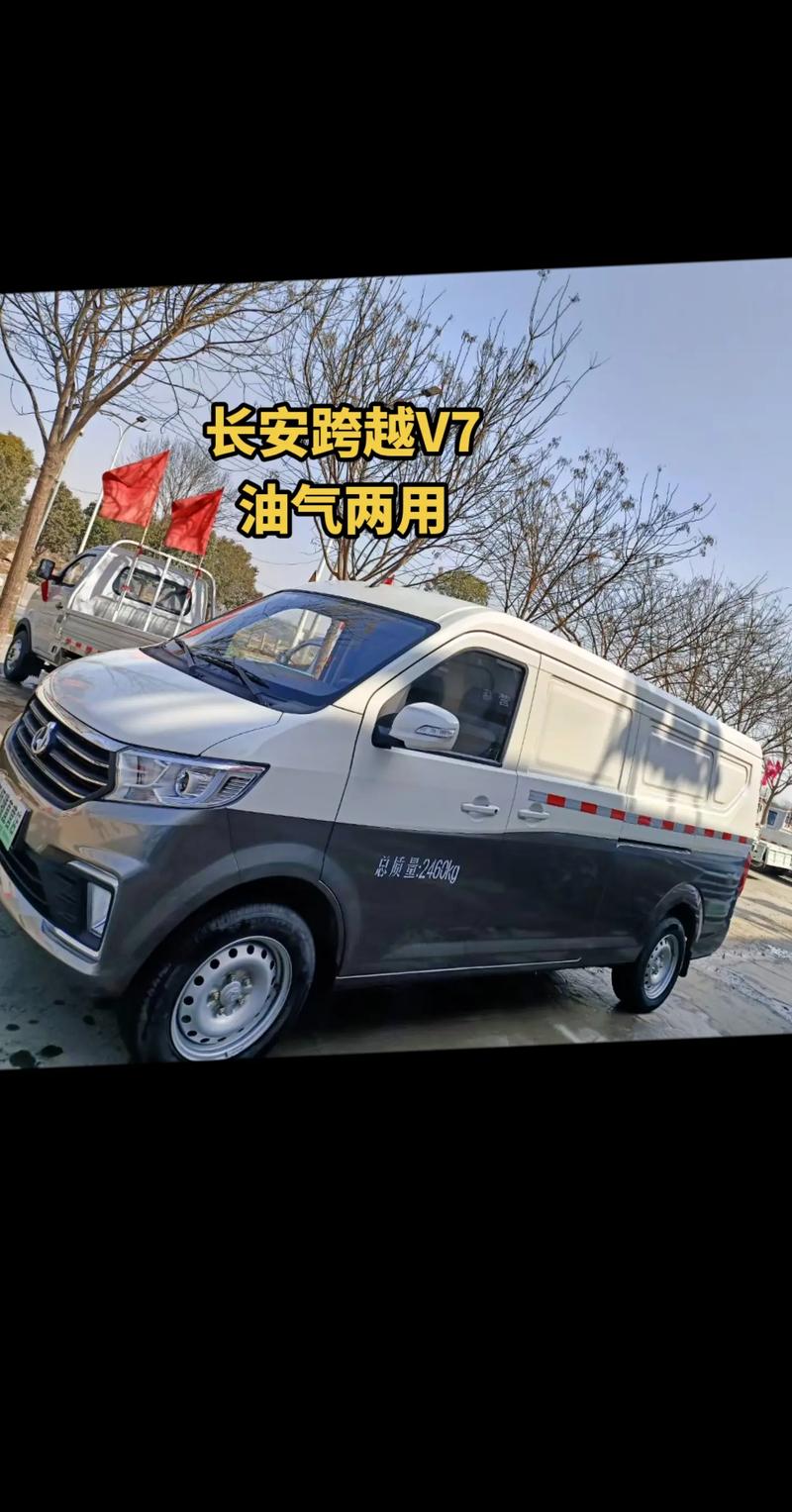 简配比亚迪油气两用车多少钱