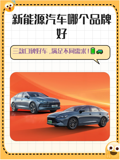 纯电车最建议买的三个品牌