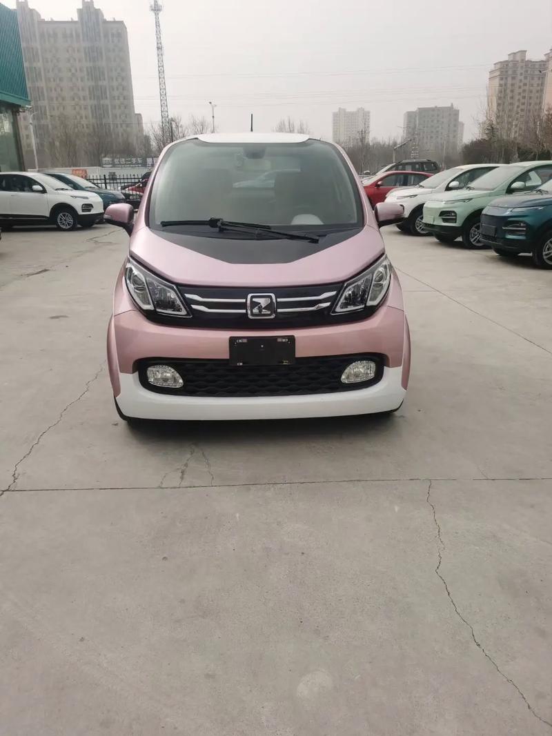 纯电车哪个牌子比较好质量比较好
