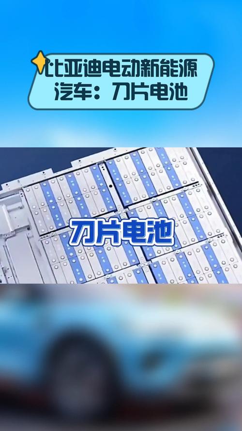 新能源汽车电池是怎么样的，新能源汽车电池是怎么样的呢