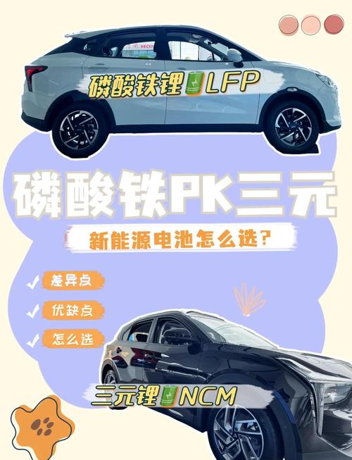 新能源汽车电池有哪几种类型及特点(新能源汽车电池有几种类型)