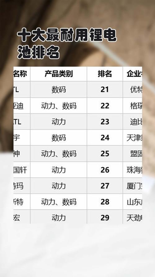 锂电池排名前十?