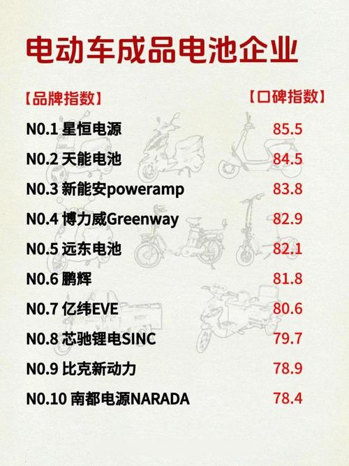 电动车电池品牌排名榜前十名(电动车电瓶前十名牌)