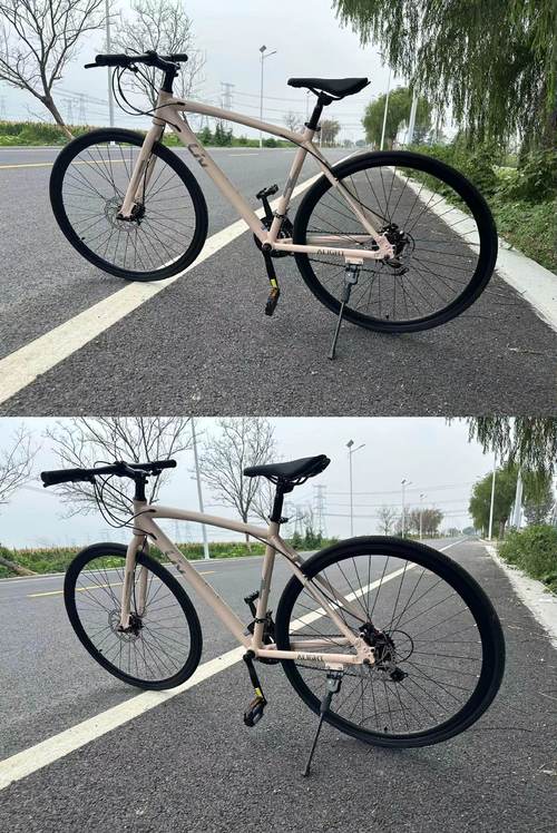 电动车捷克多少钱，捷克电瓶车