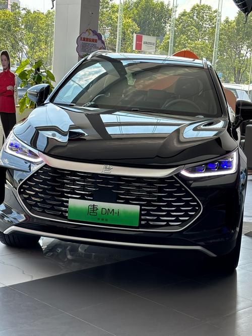 比亚迪的6款新能源车?