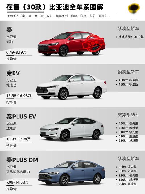 比亚迪新能源汽车有哪些(比亚迪新能源汽车介绍)