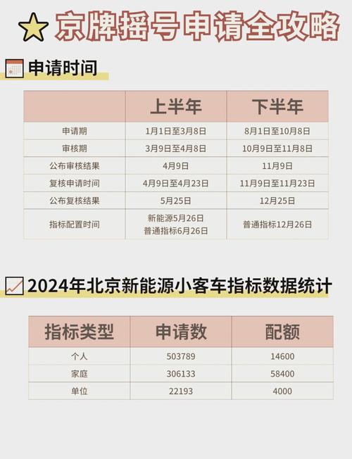 100个人有多少人有车