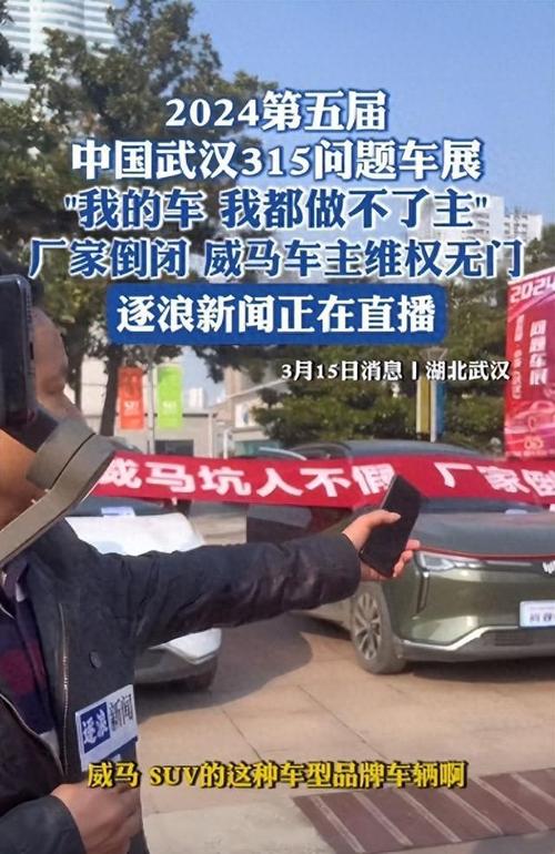 威马新能源汽车是哪个公司的?