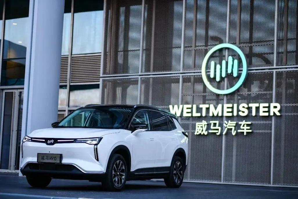 威马汽车:品牌介绍与概述?