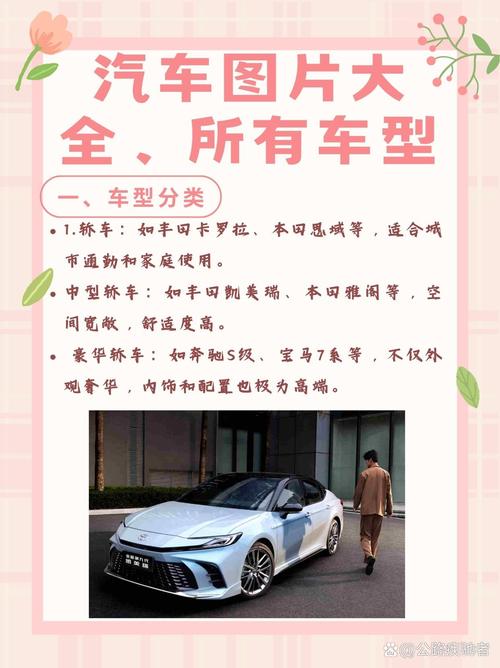 汽车有多少种类型?
