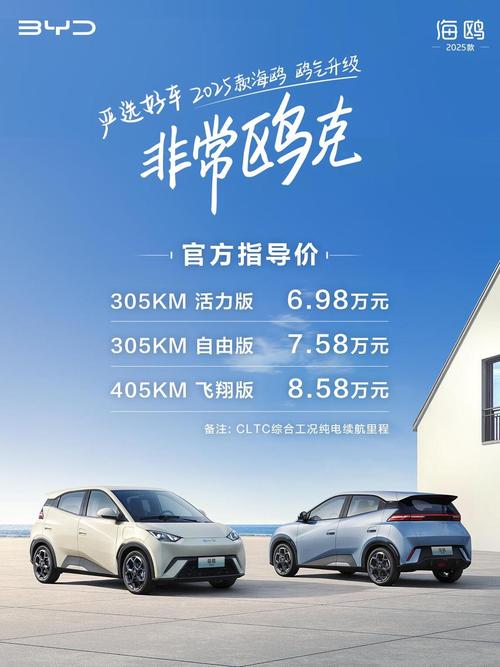 海鸥2025智驾版多少钱落地