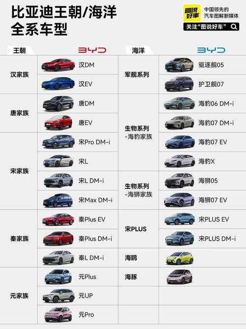 新能源汽车前十名牌费用，新能源汽车前十名品牌费用