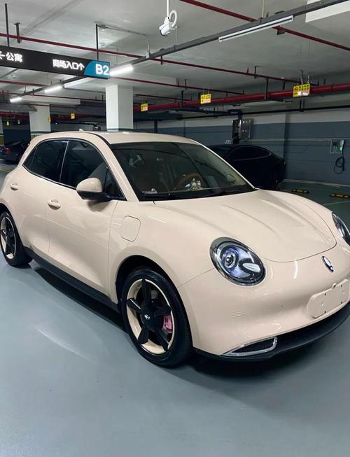 10万元左右的新能源汽车，10万元左右的新能源汽车性价比比较高的？