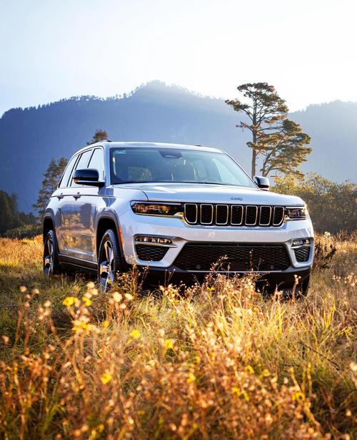 JeeP切诺基有什么缺点