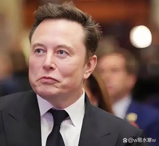 中国第一辆特斯拉长什么样子