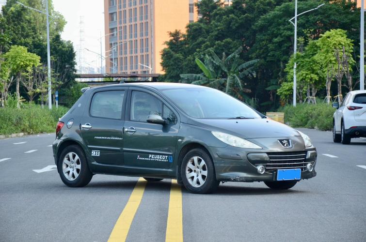 标志307两箱，标志307两箱油箱多大？