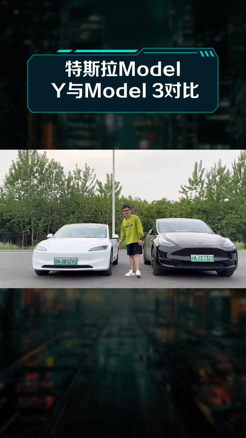 特斯拉model3与y的区别oo0of