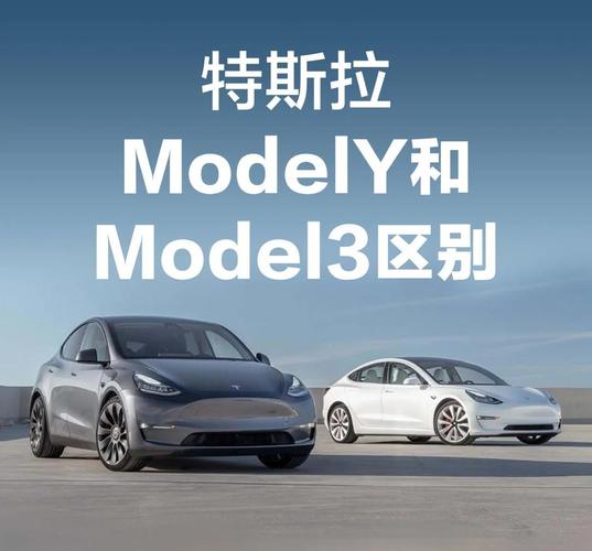 特斯拉modely和model3的区别是什么?