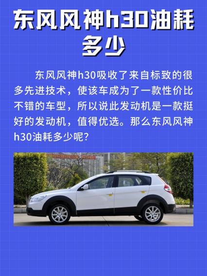 小熊油耗官方网站(东风风神h30油耗是多少风神h30真实油耗)