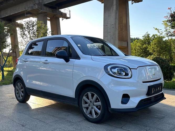 2022公认比较好纯电动车,纯电动车哪个牌子好?