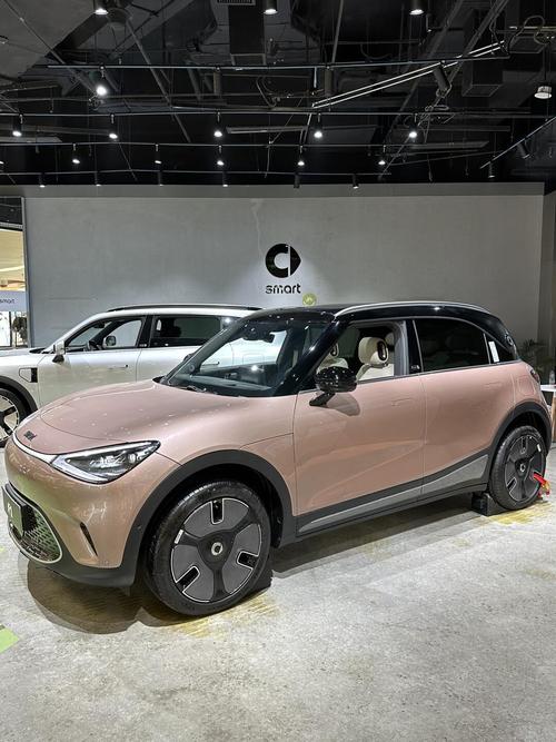 纯电版smart,国内销量前景如何?