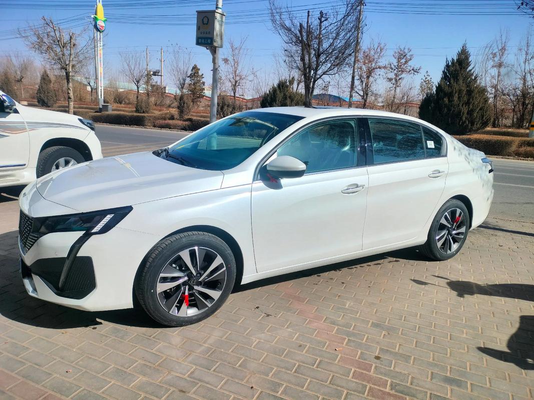 标志408罗曼尼落地价