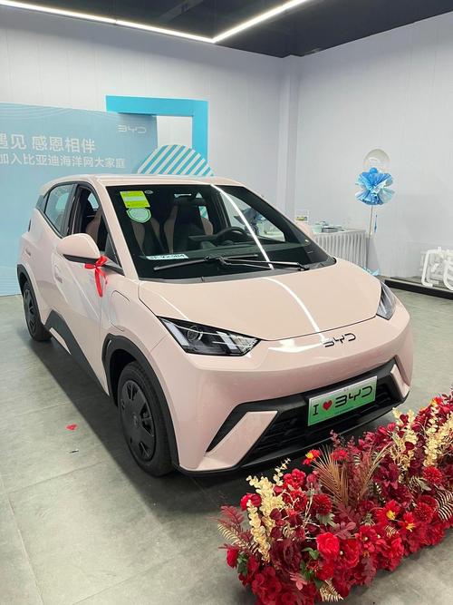 比亚迪新能源汽车哪个牌子好