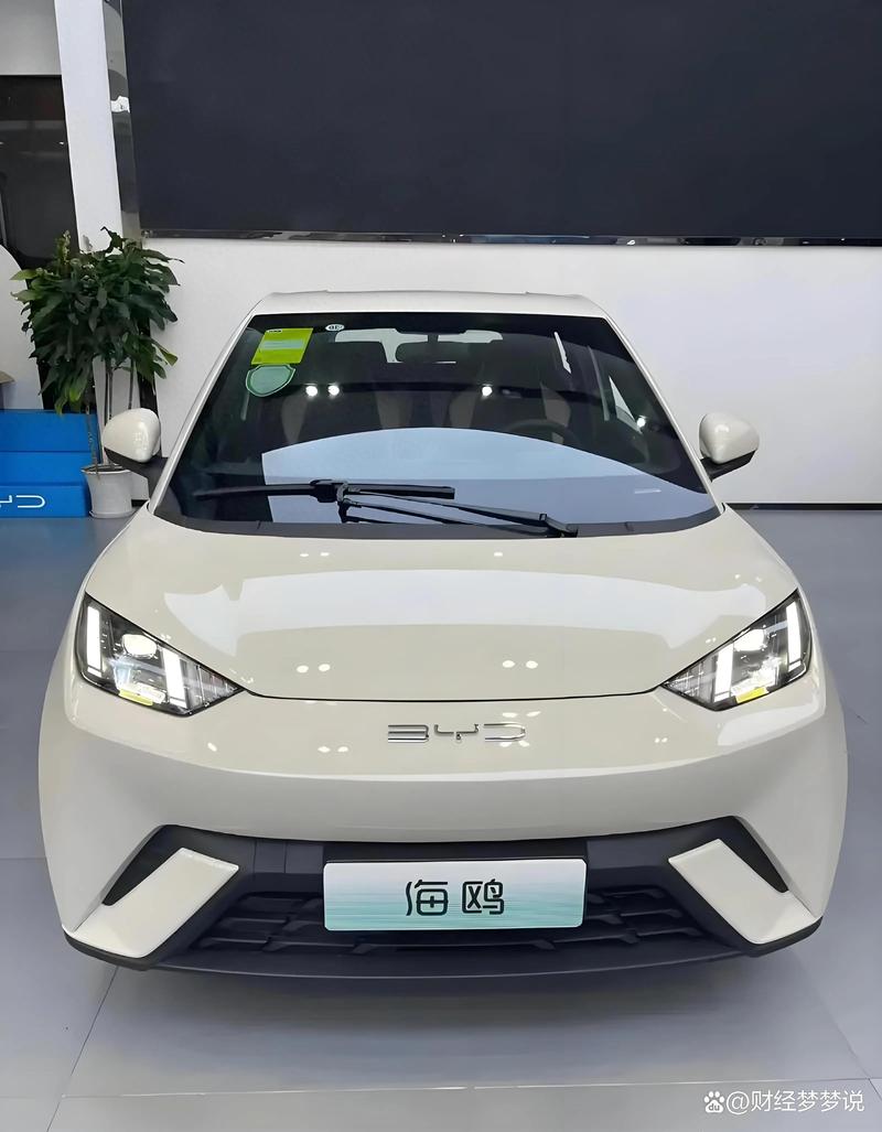 比亚迪新能源汽车有哪些