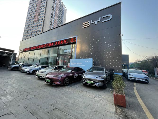 新能源纯电动汽车哪个品牌好(特斯拉和比亚迪电动车哪个质量好)_百度...