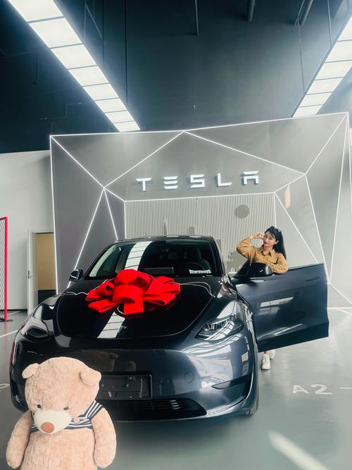 拼多多团购特斯拉车主提车?怎么操作?提车流程详解