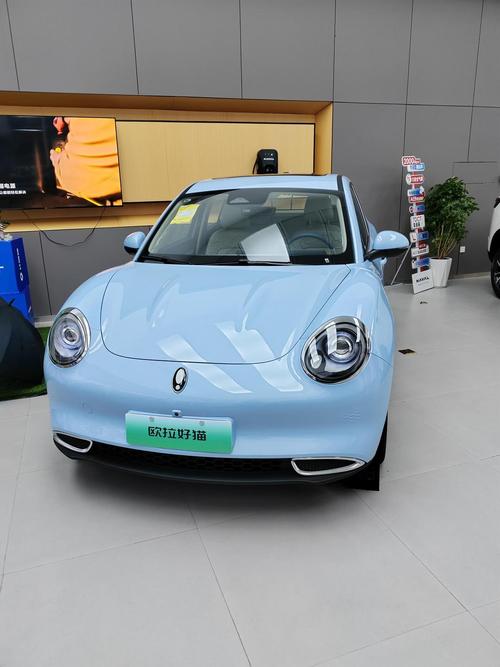 哪个品牌的新能源汽车质量好