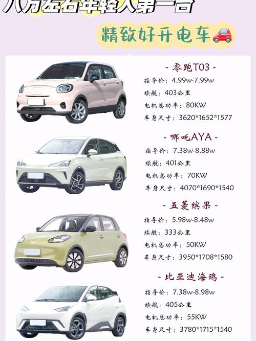 大一点的纯电动汽车多少钱一台