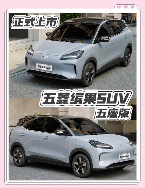 电动汽车费用一览表大全五菱缤果，五菱纯电车费用？