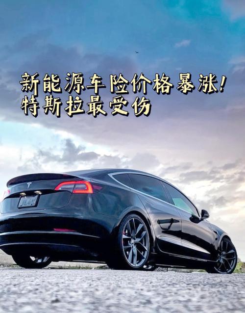 新买的特斯拉,开3天亏8000块
