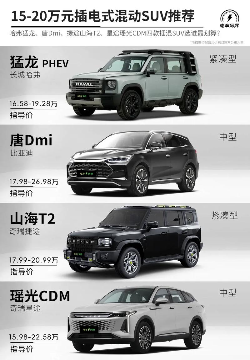 新能源车前十名牌排名及费用表图片大全视频，新能源汽车前十名牌费用