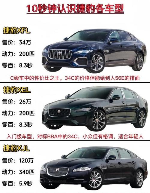 车头是一只立体豹子的是什么车