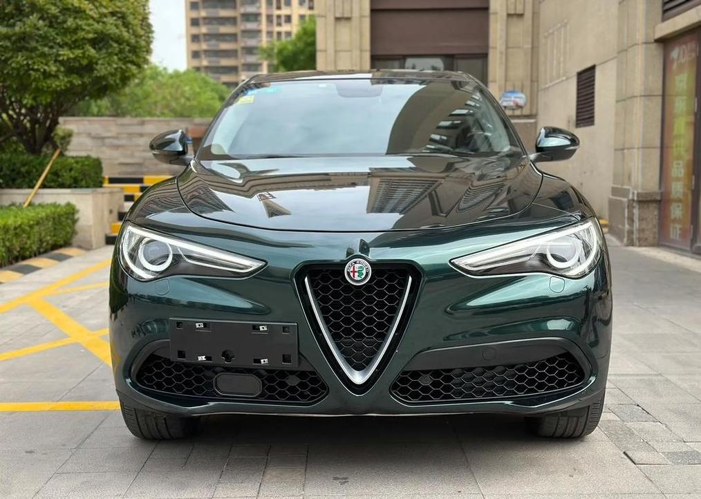 向一样的车标是什么车