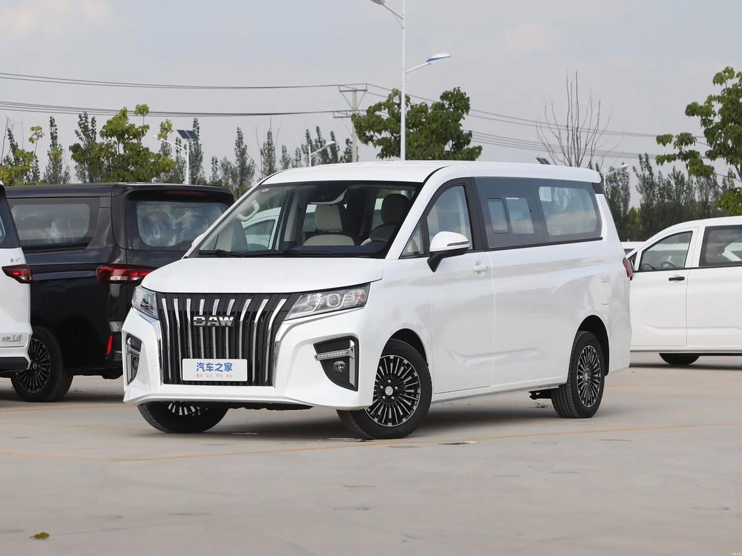 新能源车电池寿命一般多长时间捷克新能源电车怎么样，捷克电动汽车