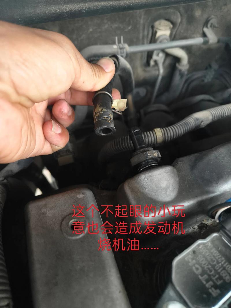 标志301是哪里生产的?