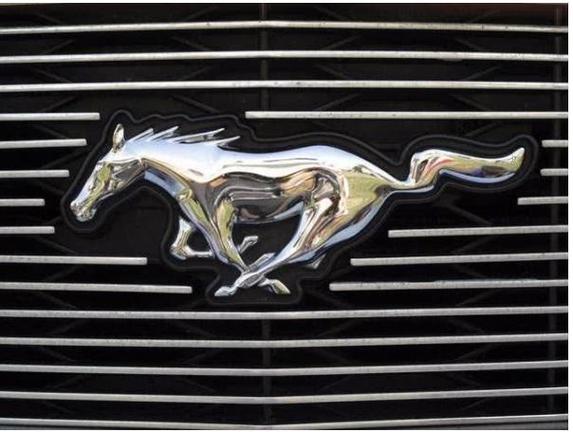 logo是一匹黑马是什么样的车?