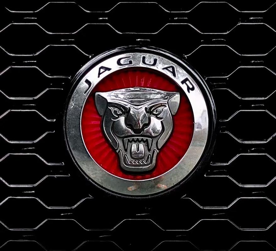 捷豹标志，捷豹标志图片