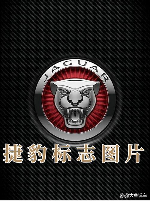 捷豹和野马标志区别