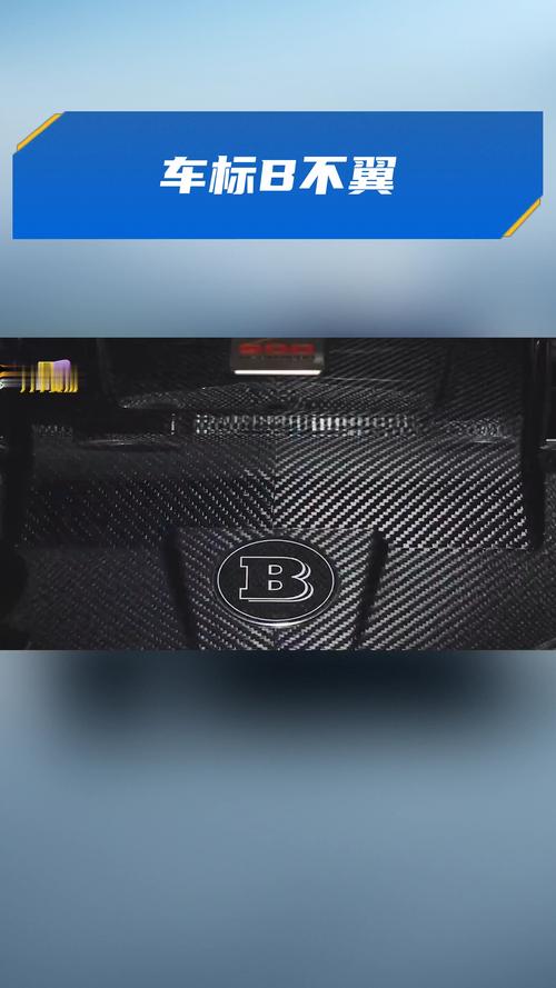 B是什么车的标志不带翅膀的》