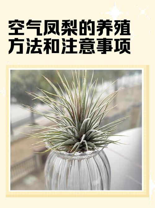 新车除甲醛最快最有效方法冬天，新车快速除甲醛最有效