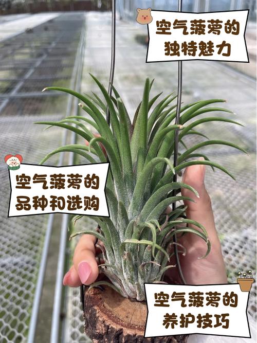 新车甲醛如何快速有效去除?我教你几招!